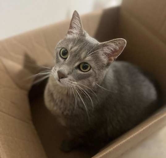 Photo of Mimi