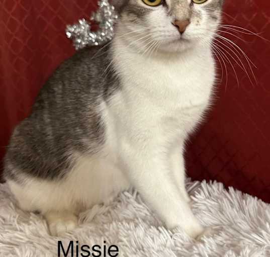 Photo of Missie