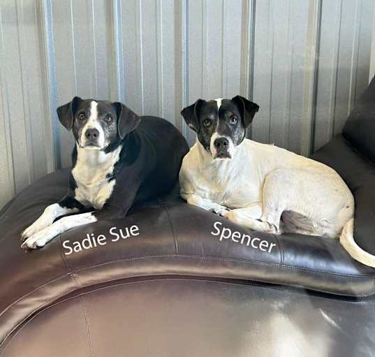 Photo of Sadie Sue