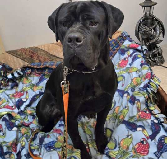 Photo of Brinks