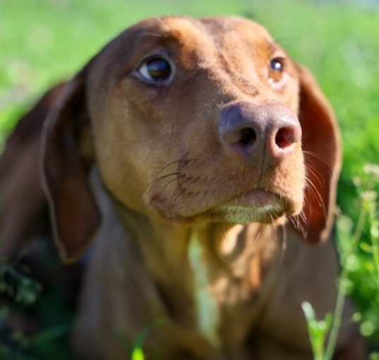 Photo of Putz