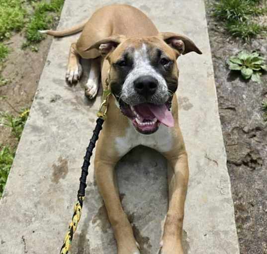 Photo of Titus