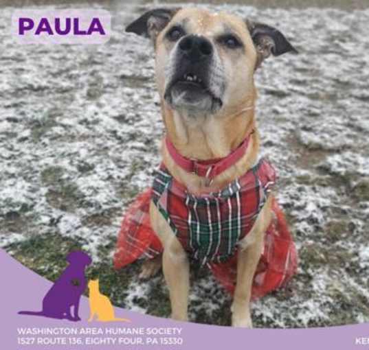 Photo of Paula