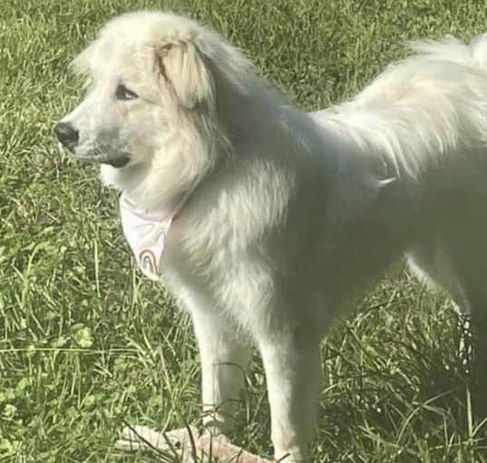 Photo of Mali