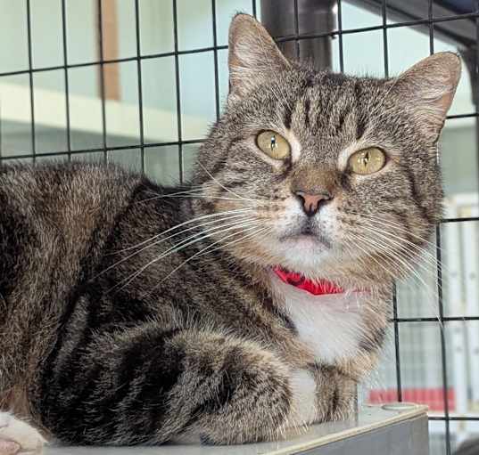 Photo of Roxy