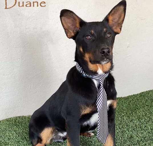 Photo of Duane