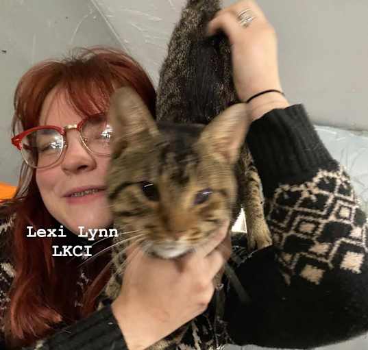 Photo of BK (FIV+)