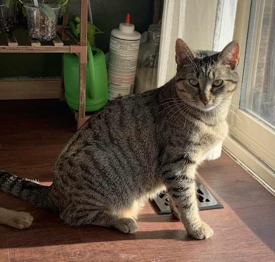 Photo of Bonnibel