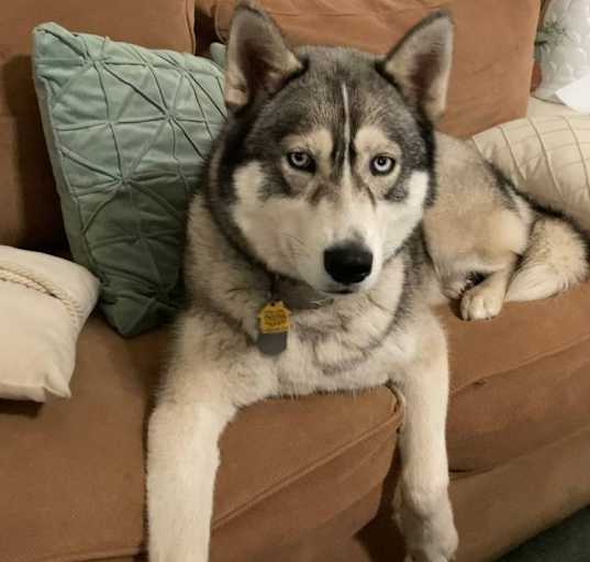 Photo of Aspen