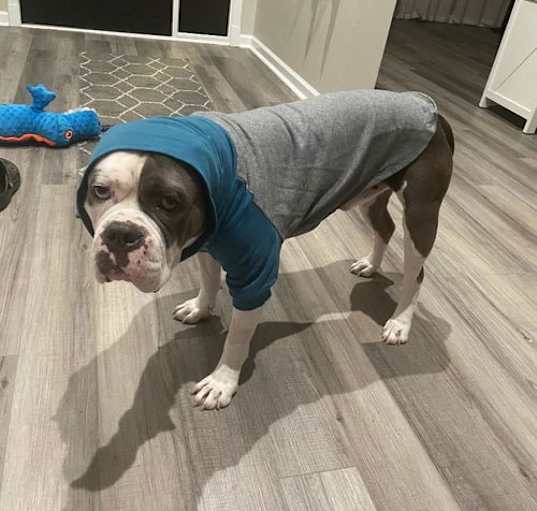 Photo of Fergus