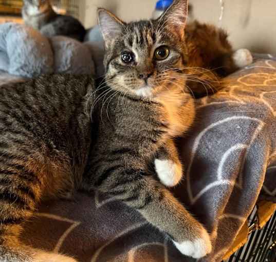 Photo of Sandy