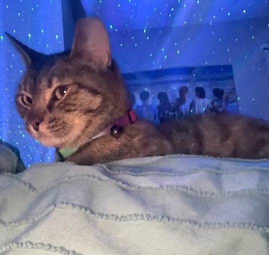Photo of Tabitha