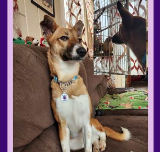 Photo of RITA - $300