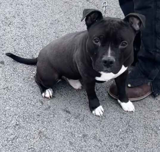 Photo of Melvin