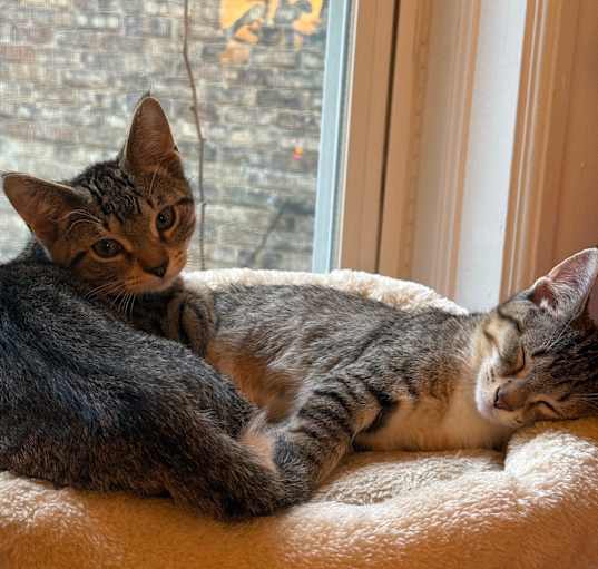 Photo of Dimitri & Ivan