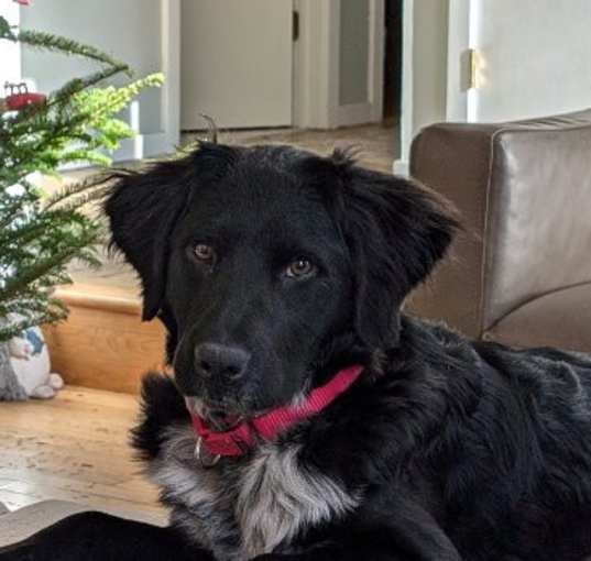 Photo of Nancy