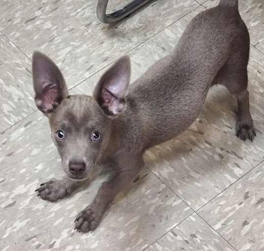 Photo of Flynn