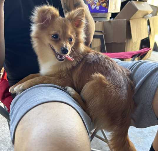 Photo of Max