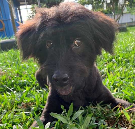 Photo of Monty