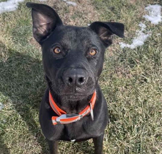 Photo of DAFFY