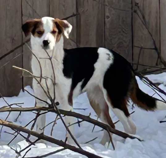 Photo of Jewel
