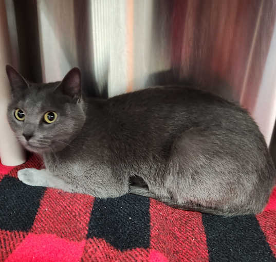 Photo of Stormy