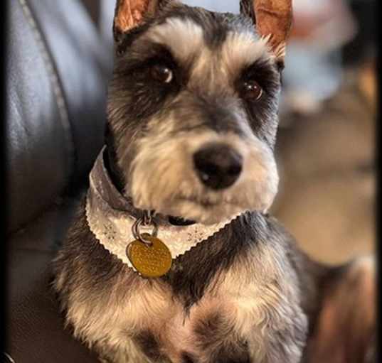 Photo of Ralphie