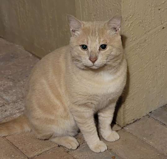 Photo of TABS