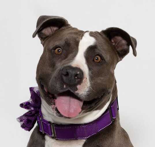 Photo of ADDY