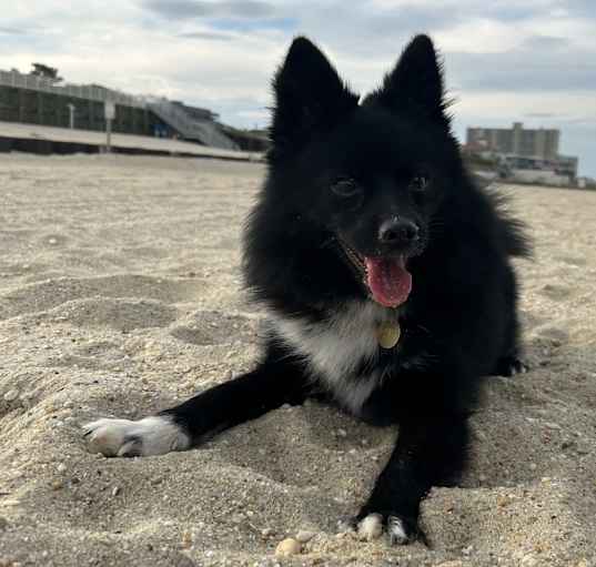 Photo of Jack