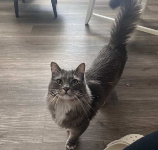 Photo of Sunny