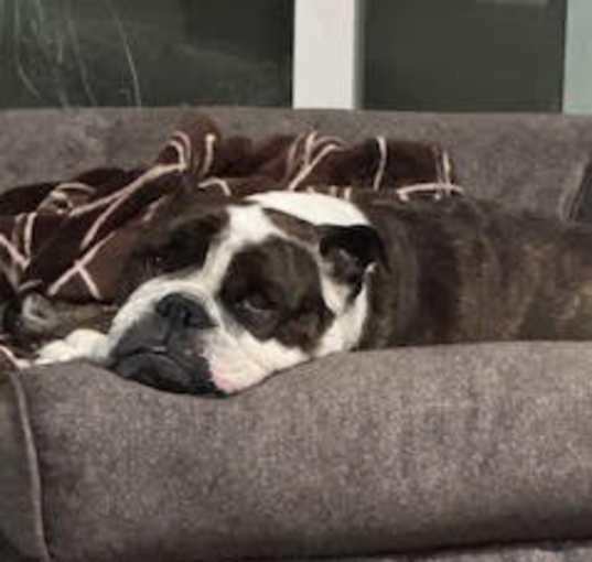 Photo of Penelope