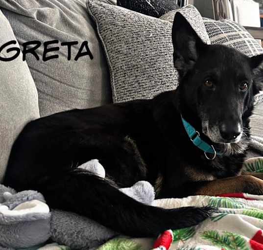 Photo of Greta