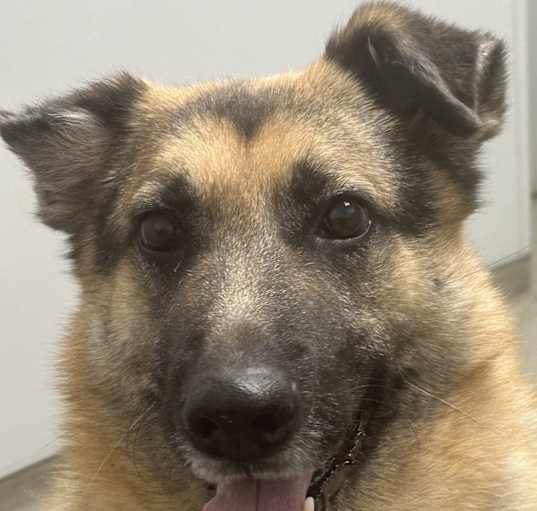 Photo of Laiko