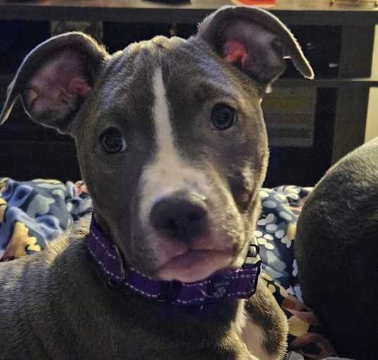 Photo of Nyx