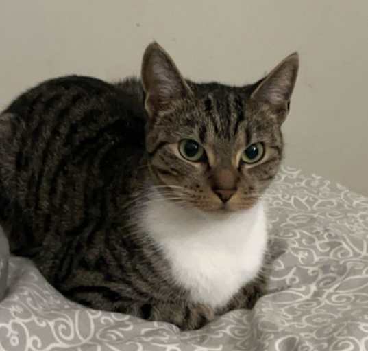 Photo of Mimi
