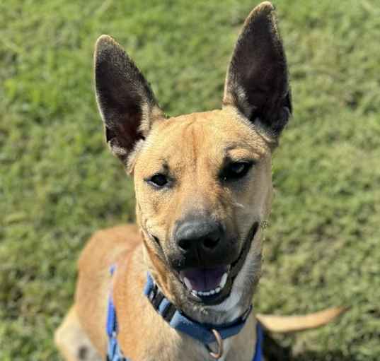 Photo of Belle