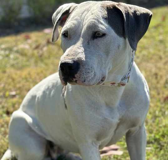 Photo of Doug