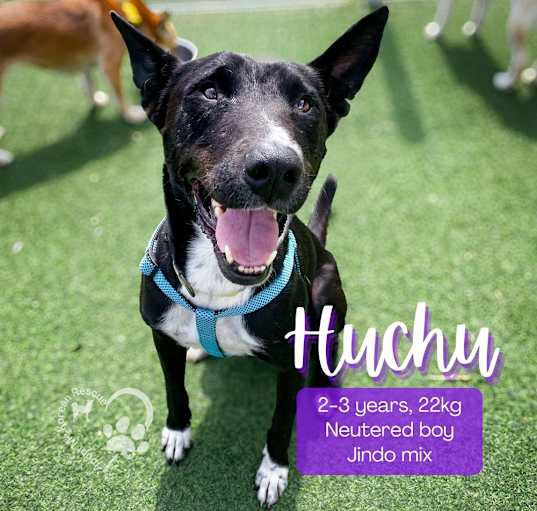 Photo of Huchu