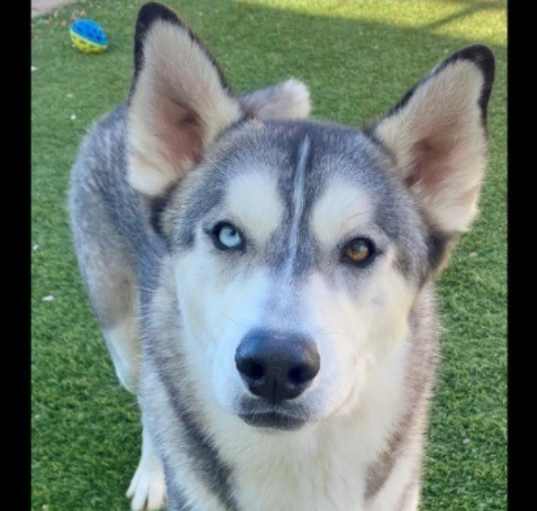 Photo of Bucky