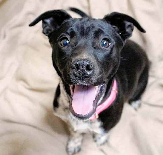 Photo of Delilah