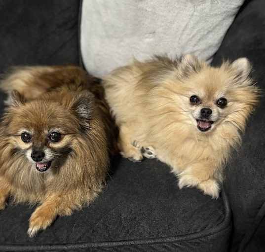 Photo of Sophie & Sine