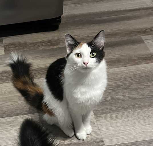 Photo of Teeny