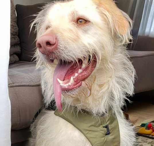 Photo of Elsa