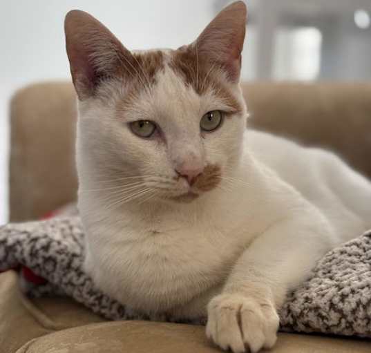 Photo of Fiyero