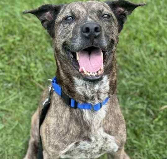 Photo of Penny Lane - In a foster home