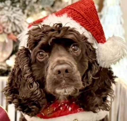 Photo of Hershey