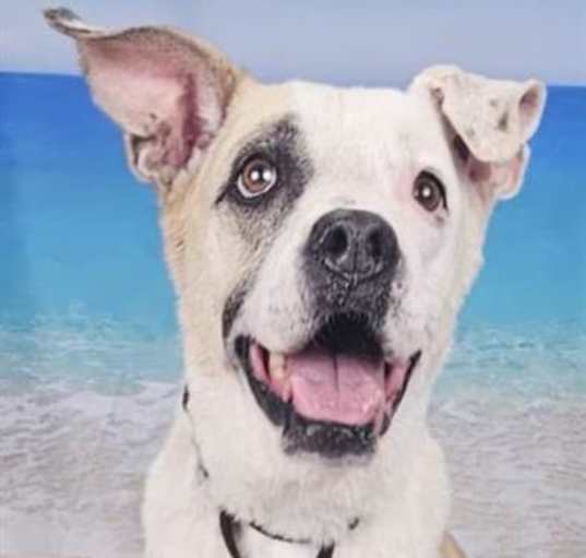 Photo of NAMASTE