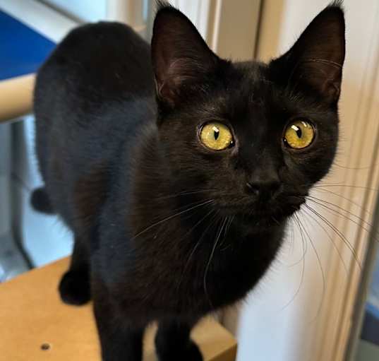 Photo of 9/27/25 - Cocoa