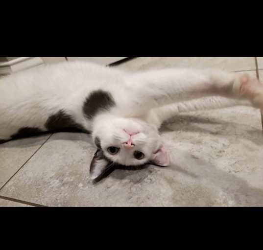 Photo of Veedee